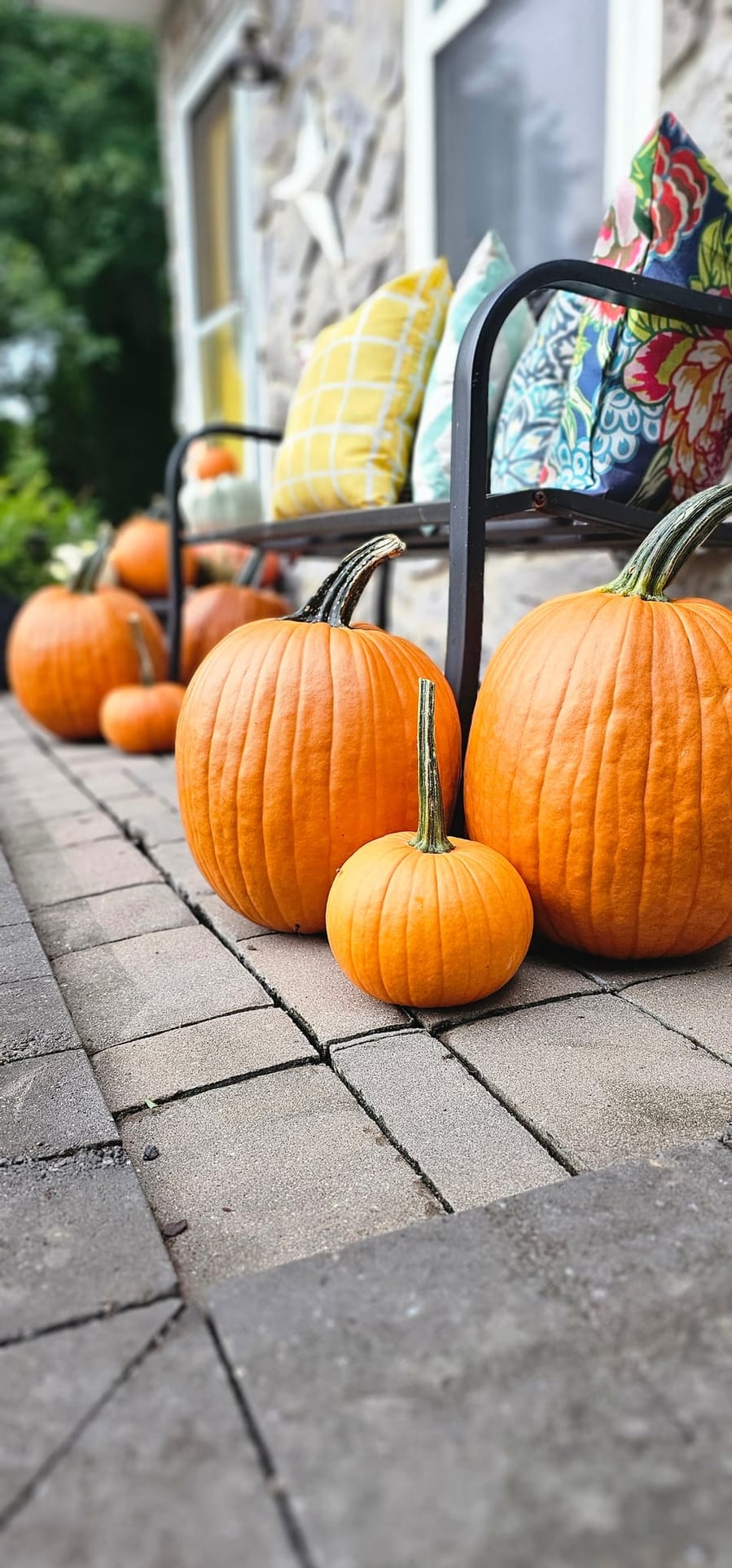 Three orange pumpkins grouped on a paver patio beside a bench with patterned cushions