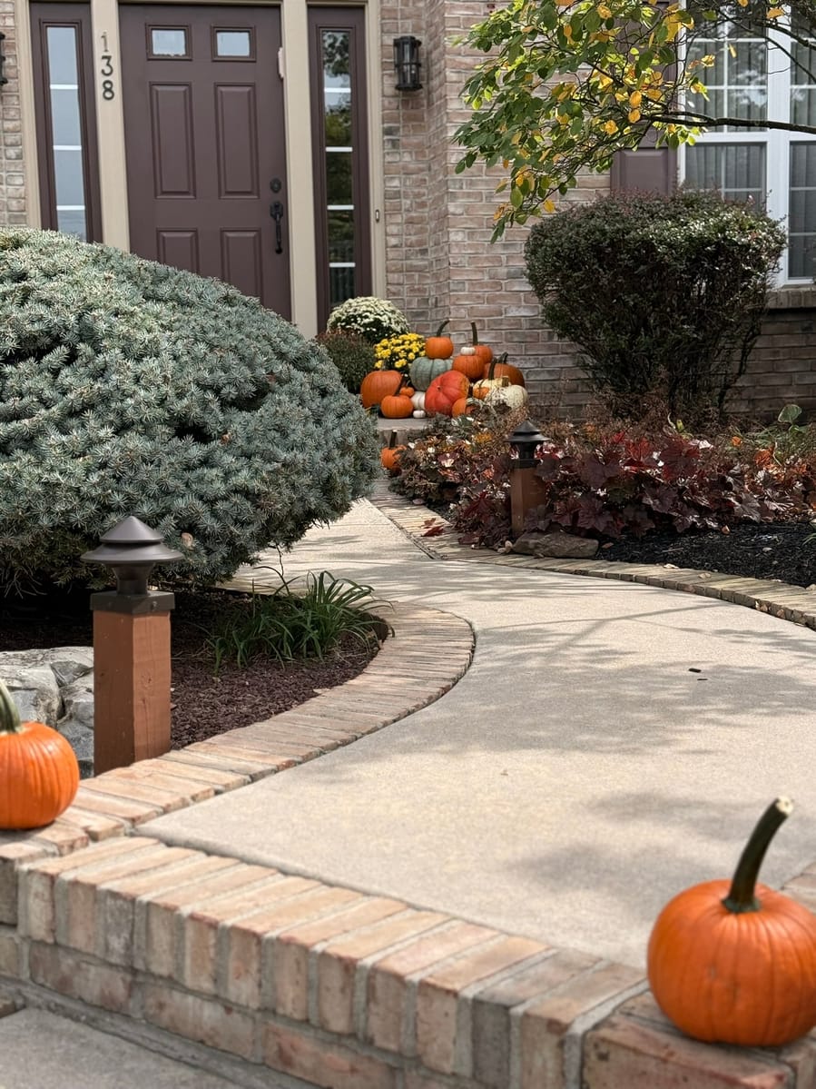 A curved brick-edged walkway with pumpkins set along it, leading to a display of pumpkins and mums at the front door