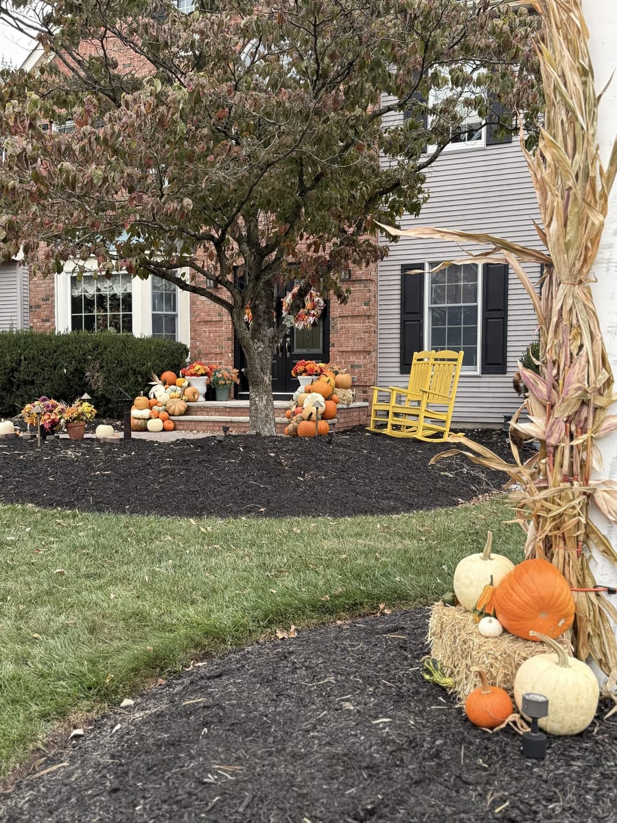 A front yard dressed for autumn: pumpkins on the steps, yellow rocking chairs, and cornstalks tied to a post