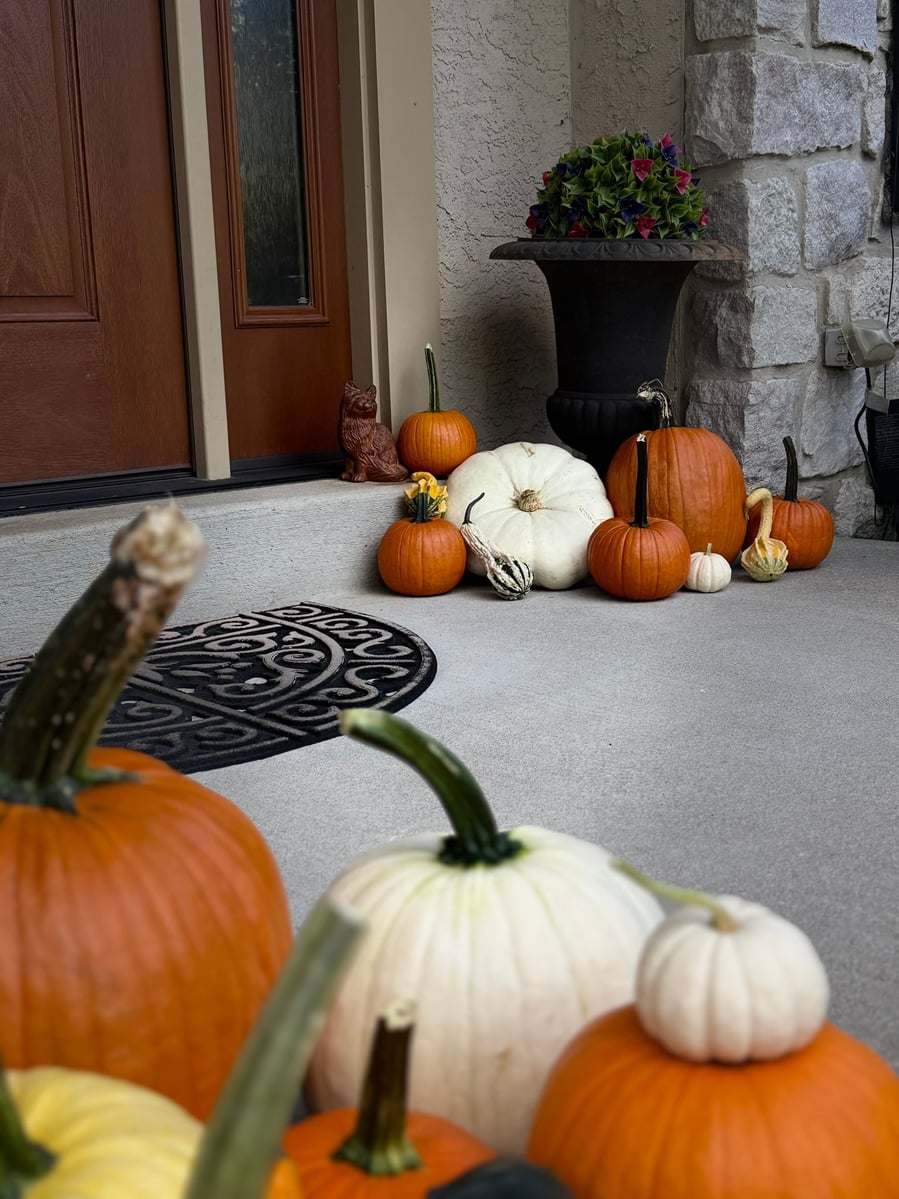 Pumpkins and gourds arranged across a covered porch beside a wooden front door and a dark urn planter