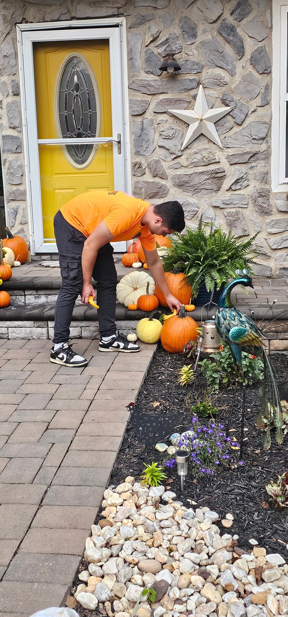 A Penn Pumpkin Co crew member in an orange shirt placing gourds on stone steps beside a yellow front door