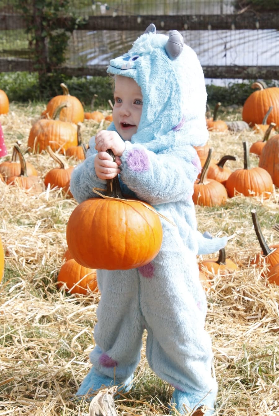 A toddler in a blue monster costume carrying a pumpkin by its stem across a straw-covered pumpkin patch